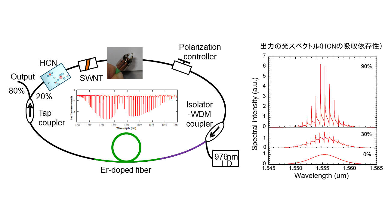 The configuration of an ultrashort pulse fiber laser containing a molecular gas cell and a carbon nanotube, and the spectrum of its output beam. We have succeeded in generating highly narrow linewidth spectra that match the absorption wavelengths of the molecule. By using a spatial light modulator, a spectral peak can be generated at any wavelength.